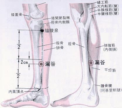 上明穴|醫砭 » 經穴庫 » 上明